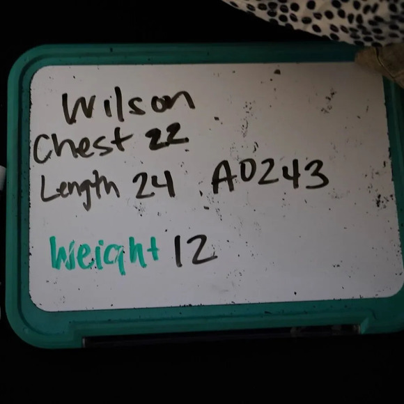 Vintage Wilson All Sport Sweatshirt Size‎ L W5013 Blue Gray V-Neck Stripes - Picture 5 of 7